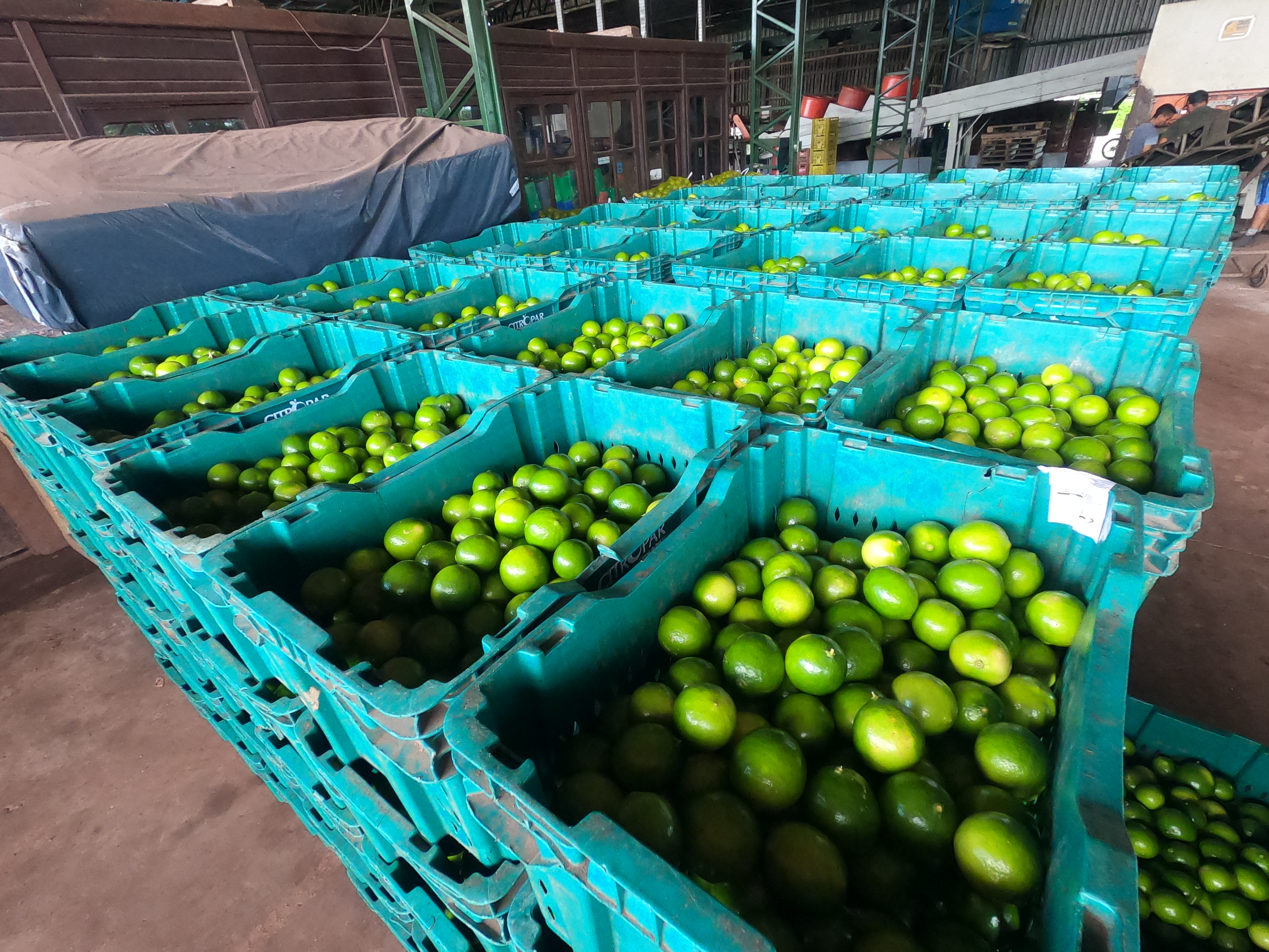 Ambiente industrial de processamento de alimentos e bebidas